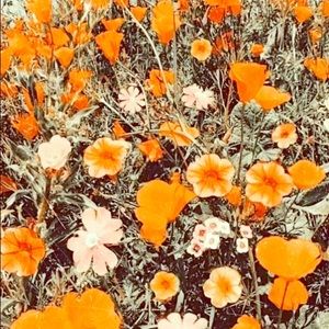 Meet your Posher, Nathalie